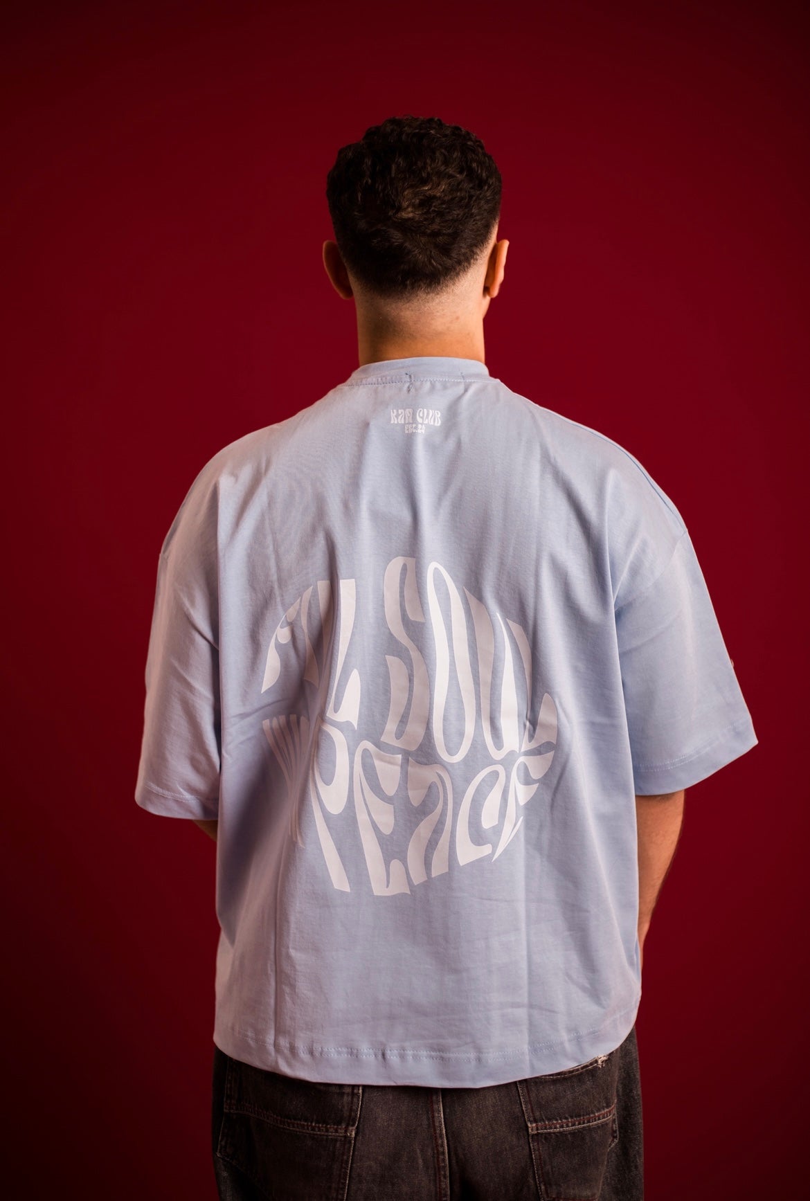 Baby blue printed tee